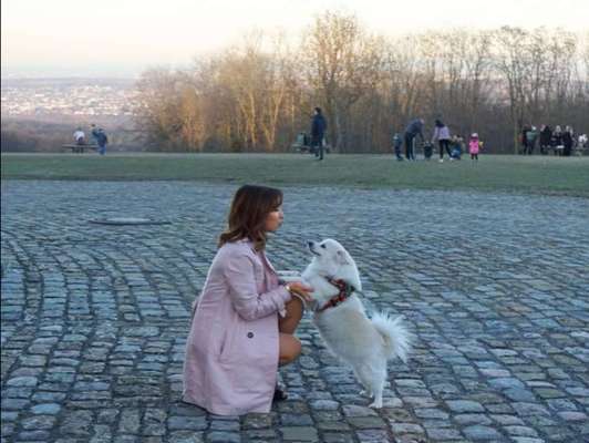 Euer schönstes Bild mit eurem Hund gemeinsam!-Beitrag-Bild