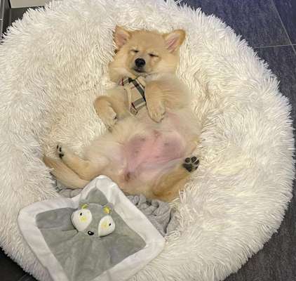 Die unbequemsten und lustigsten Schlafpositionen-Beitrag-Bild