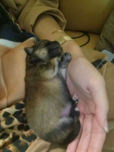 Das erste Foto-Beitrag-Bild