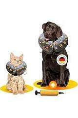 Alternative zum Halskragen nach OP. Body…-Beitrag-Bild