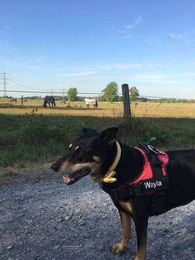 Handy-Foto-Challange Nr. 8-Beitrag-Bild