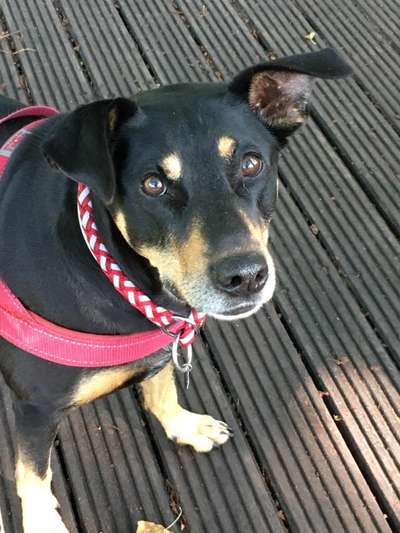 Von oben-Beitrag-Bild