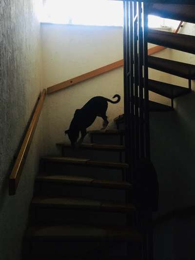 21. Handy-Foto-Challenge-Beitrag-Bild