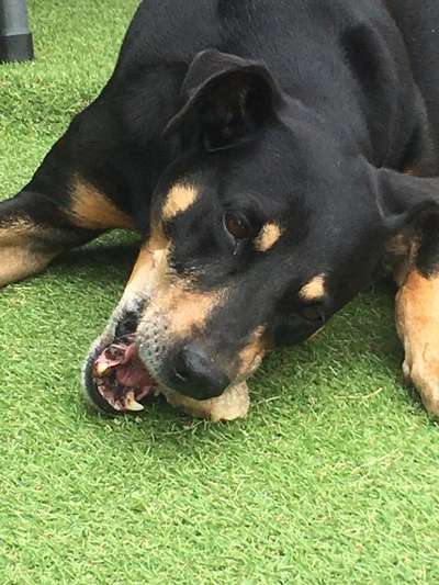 26. Collagen Challenge- Zeigt her eure Zähne-Beitrag-Bild