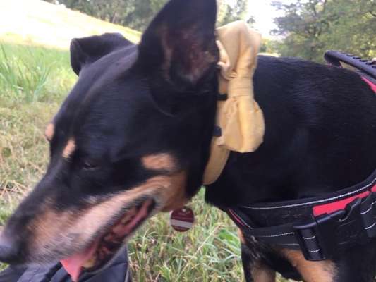 18. Collagen Challenge - Zunge raus!-Beitrag-Bild