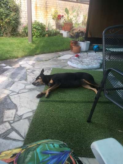 FOTO-Challenge  NR. 91: Die pure Entspannung-Beitrag-Bild