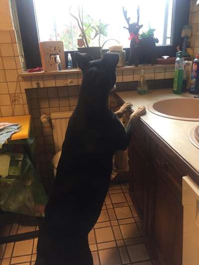 120. Fotochallenge-Beitrag-Bild