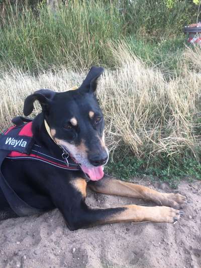 18. Collagen Challenge - Zunge raus!-Beitrag-Bild