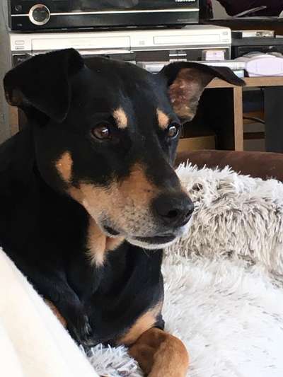 23. Collagen-Challenge: Portraits-Beitrag-Bild