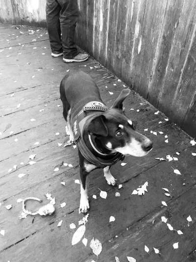 Foto-Challenge 76: Foto in Schwarz-Weiss-Beitrag-Bild