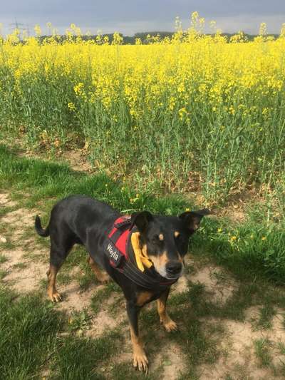 Doppelgänger gesucht !-Beitrag-Bild