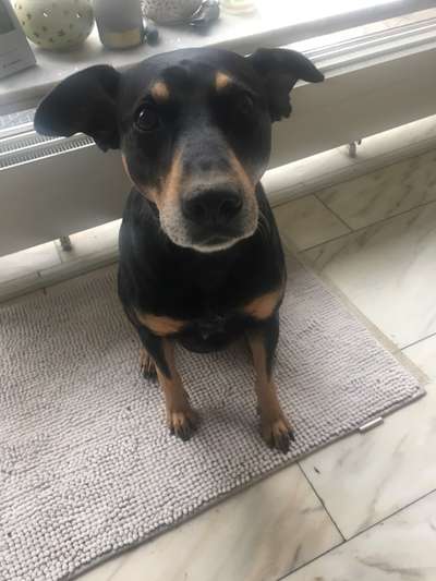 23. Collagen-Challenge: Portraits-Beitrag-Bild