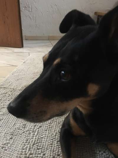 Fotocollage-Beitrag-Bild