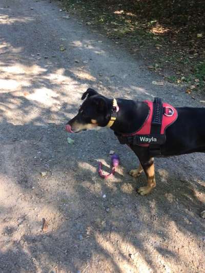 18. Collagen Challenge - Zunge raus!-Beitrag-Bild