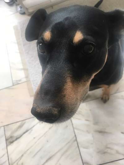 Fotocollage-Beitrag-Bild