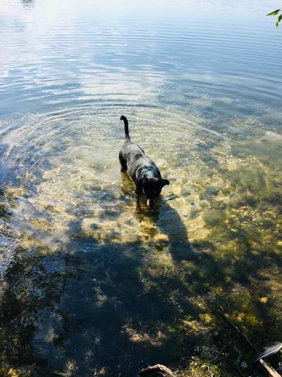 Eure Strandbilder :)-Beitrag-Bild