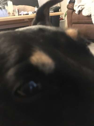 Fotocollage-Beitrag-Bild