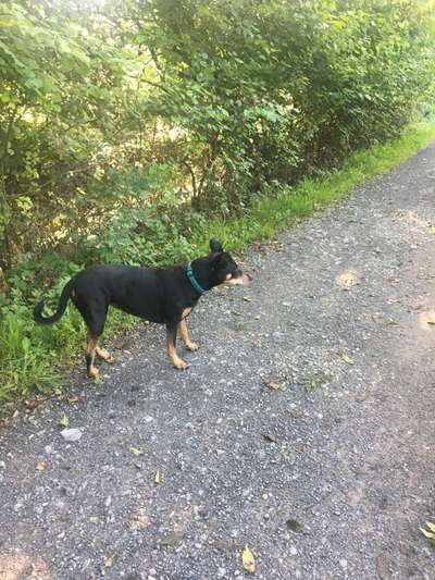 Foto-Challange No.1 - Alles aber nicht die Kamera-Beitrag-Bild