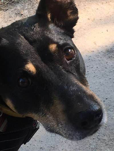 23. Collagen-Challenge: Portraits-Beitrag-Bild