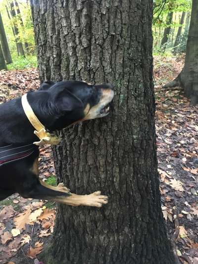 27. Handy Fotochallenge-Beitrag-Bild