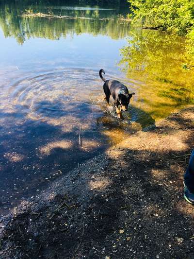 Theos Fotochallange Nummer 4-Beitrag-Bild