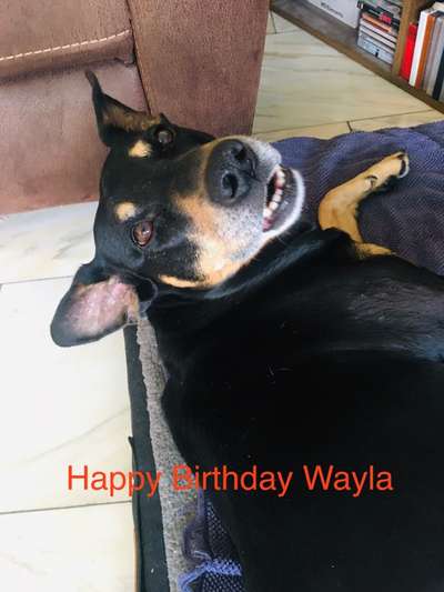 26. Collagen Challenge- Zeigt her eure Zähne-Beitrag-Bild