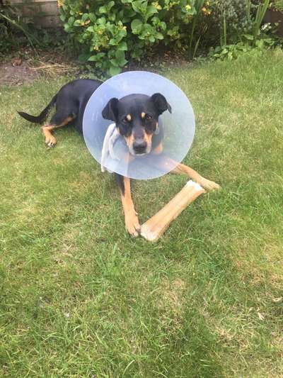 LUSTIGE FOTOS! WER KANN MITHALTEN?-Beitrag-Bild