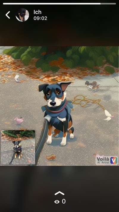 Voila app Bilder-Beitrag-Bild