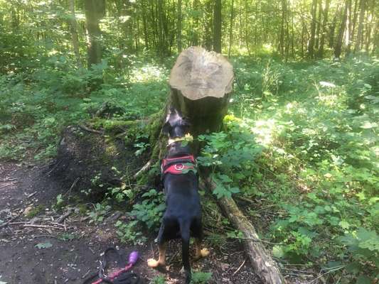 Theos Fotochallenge Nr. 3-Beitrag-Bild