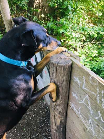 23. Handy Foto-Challenge-Beitrag-Bild