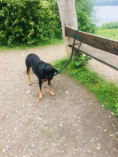 Pause an der Bank-Beitrag-Bild