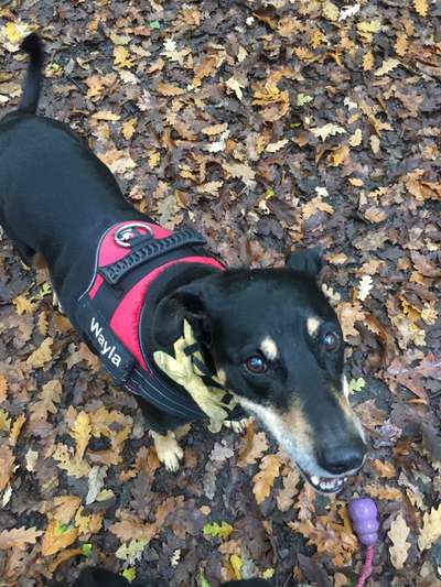 Herbst Bilder-Beitrag-Bild