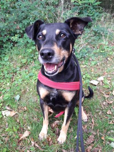 Doppelgänger gesucht !-Beitrag-Bild