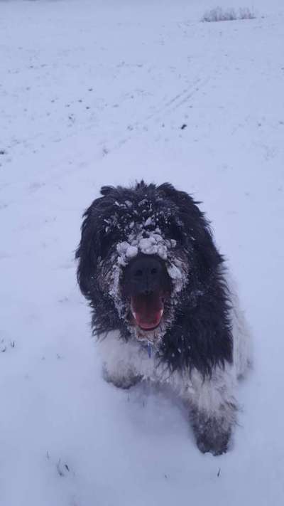 Zeigt mir eure Lieblingsfotos ♡♡-Beitrag-Bild