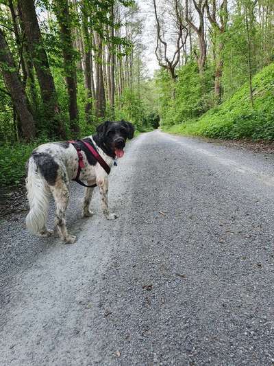 Lieblingsbild-Beitrag-Bild