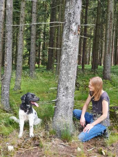 Hundmenschfotos-Beitrag-Bild