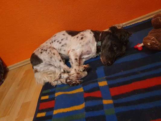 Die unbequemsten und lustigsten Schlafpositionen-Beitrag-Bild