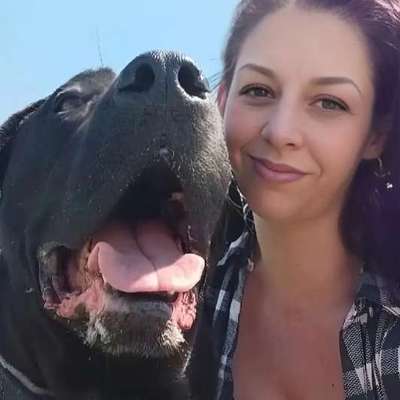 Hundetreffen-Gassi laufen individuell nach Eigenschaften 😊-Bild