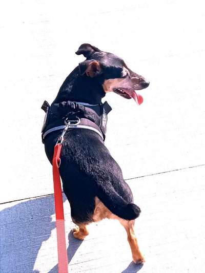 Handyfoto challenge Nr. 13: Waschlappen raus!-Beitrag-Bild