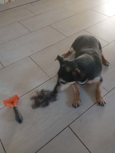 22. Handy Foto - Challenge-Beitrag-Bild