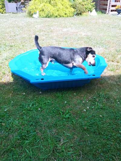 Fotochallenge Nr. 94 It's summer time-Beitrag-Bild