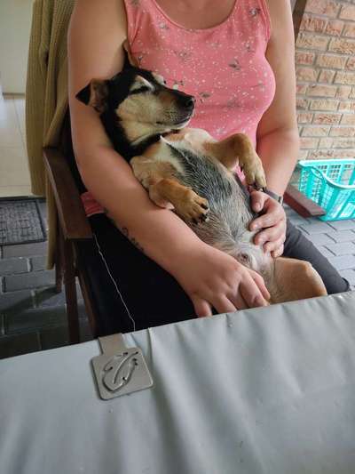 Foto Challenge - Zeigt her eure Bäuche-Beitrag-Bild