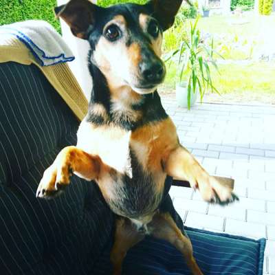 Handy-Foto-Challange Nr.9-Beitrag-Bild