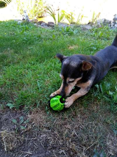 Fotochallenge No.97-Beitrag-Bild