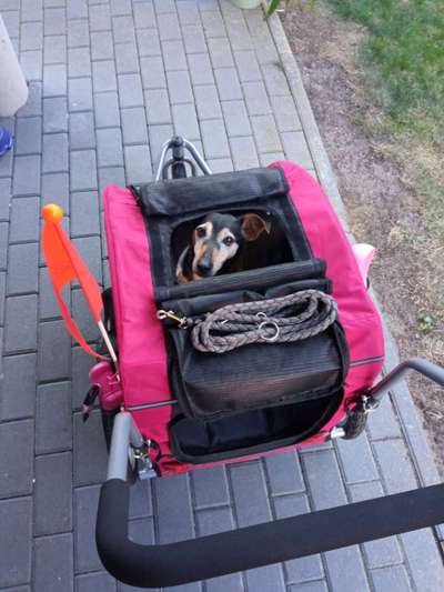 Handy-Foto Challange Nr. 10-Beitrag-Bild