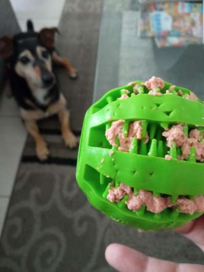 12. Farben Foto Challenge --- Braun-Beitrag-Bild