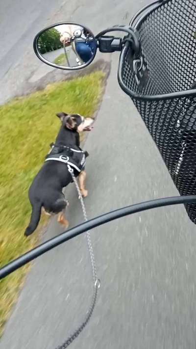 Fotochallenge 108: Starkes Team-Beitrag-Bild