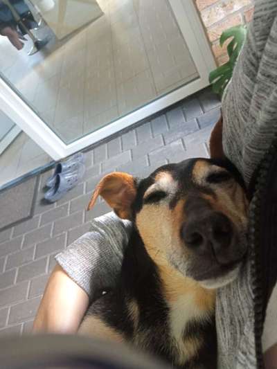 Zeigt mir die tollste Nahaufnahme von eurer Fellnase-Beitrag-Bild