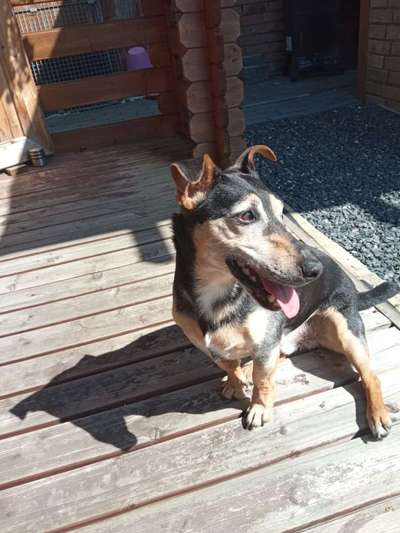 Doppelgänger gesucht !-Beitrag-Bild