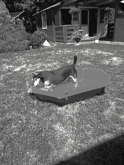 Fotowettbewerb-Beitrag-Bild